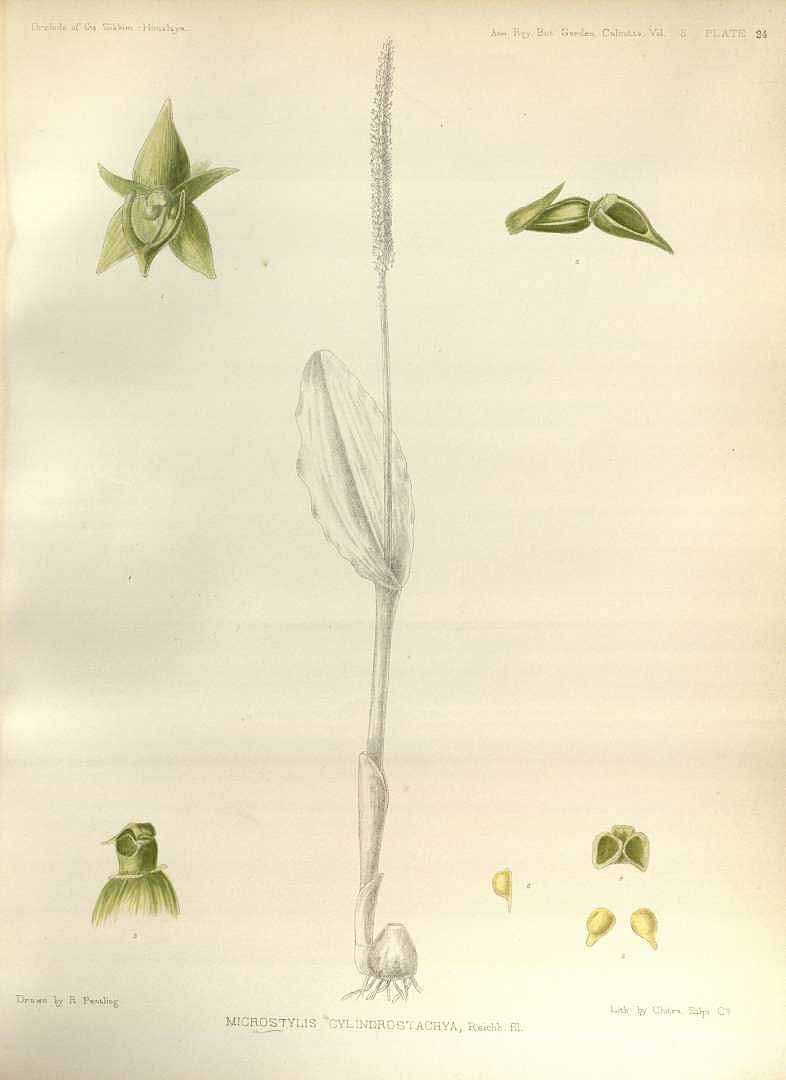 no HD illustration available (3)