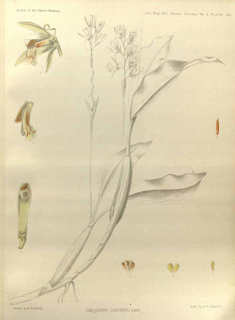 no HD illustration available (3)