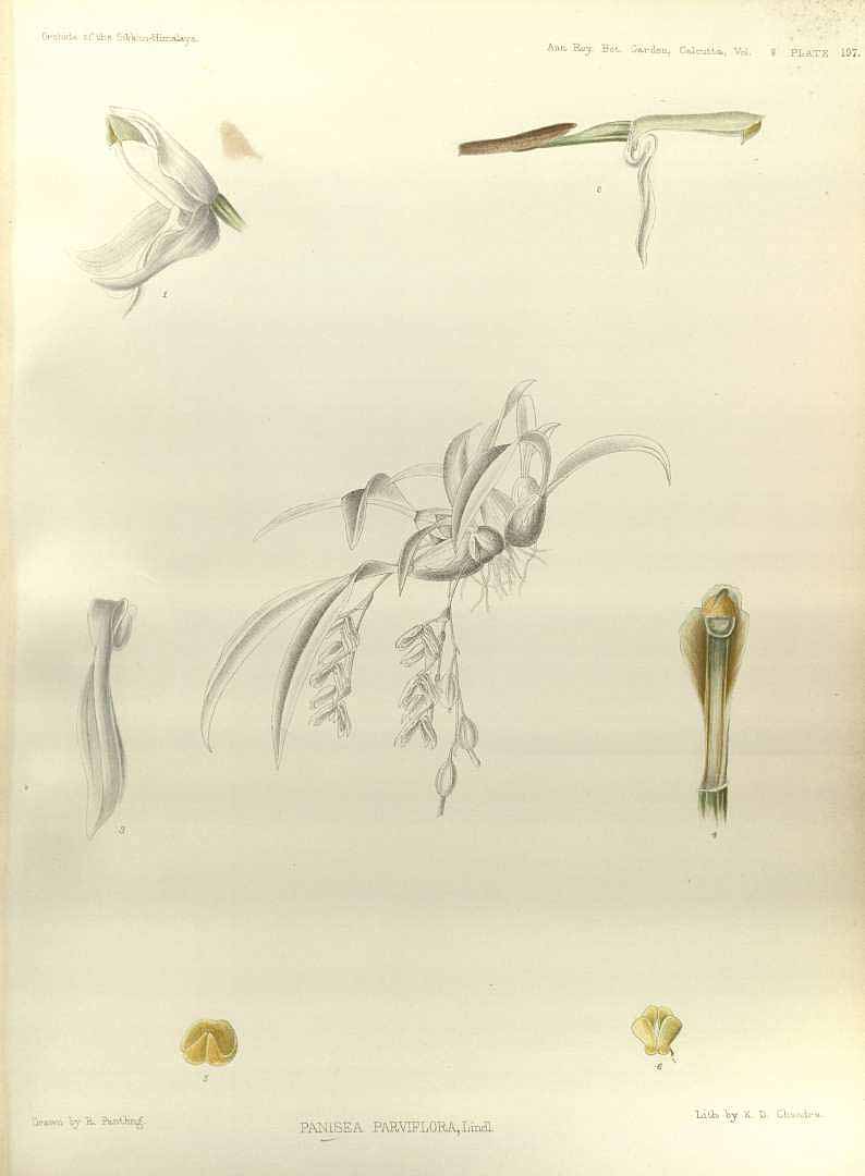 no HD illustration available (3)