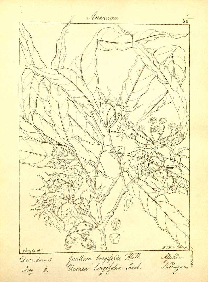 no HD illustration available (3)