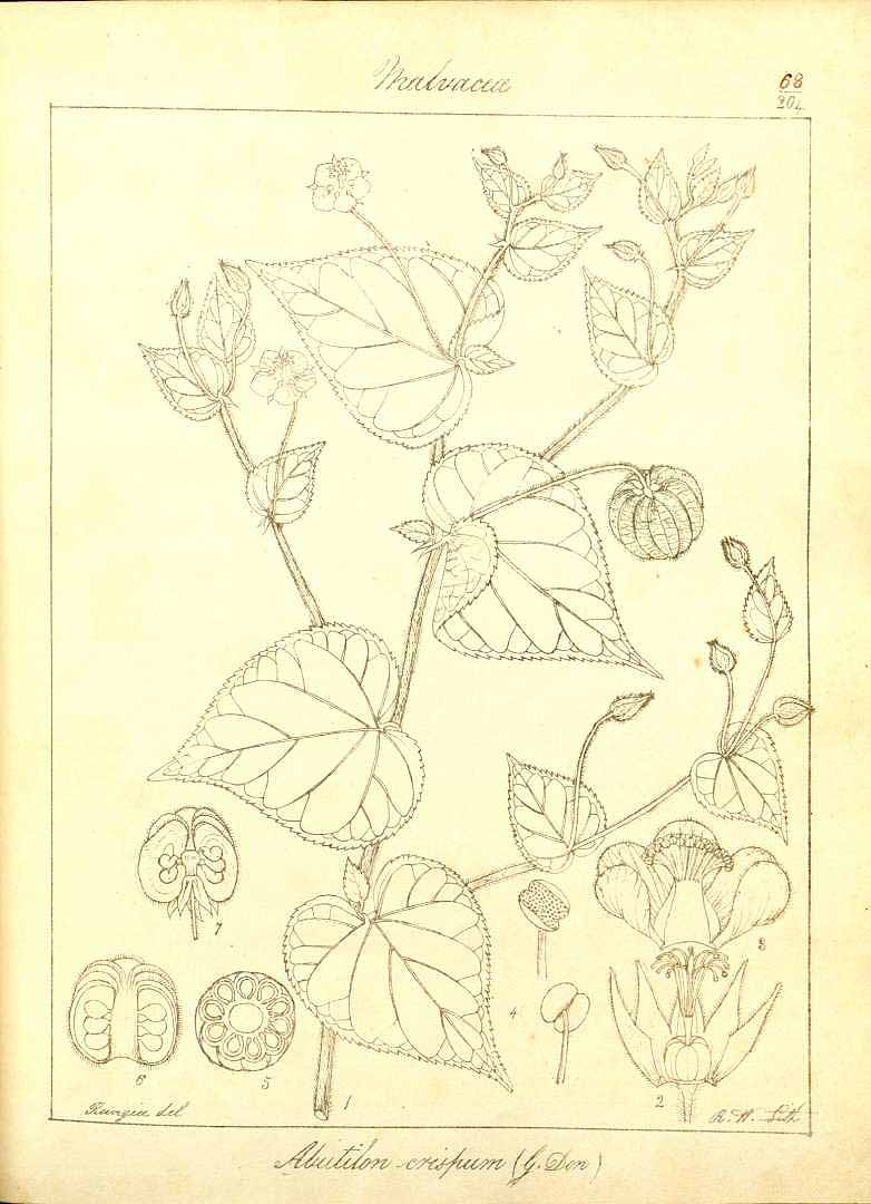 no HD illustration available (3)