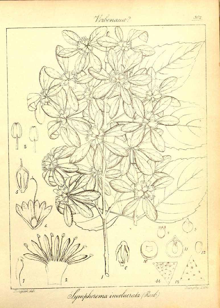 no HD illustration available (3)