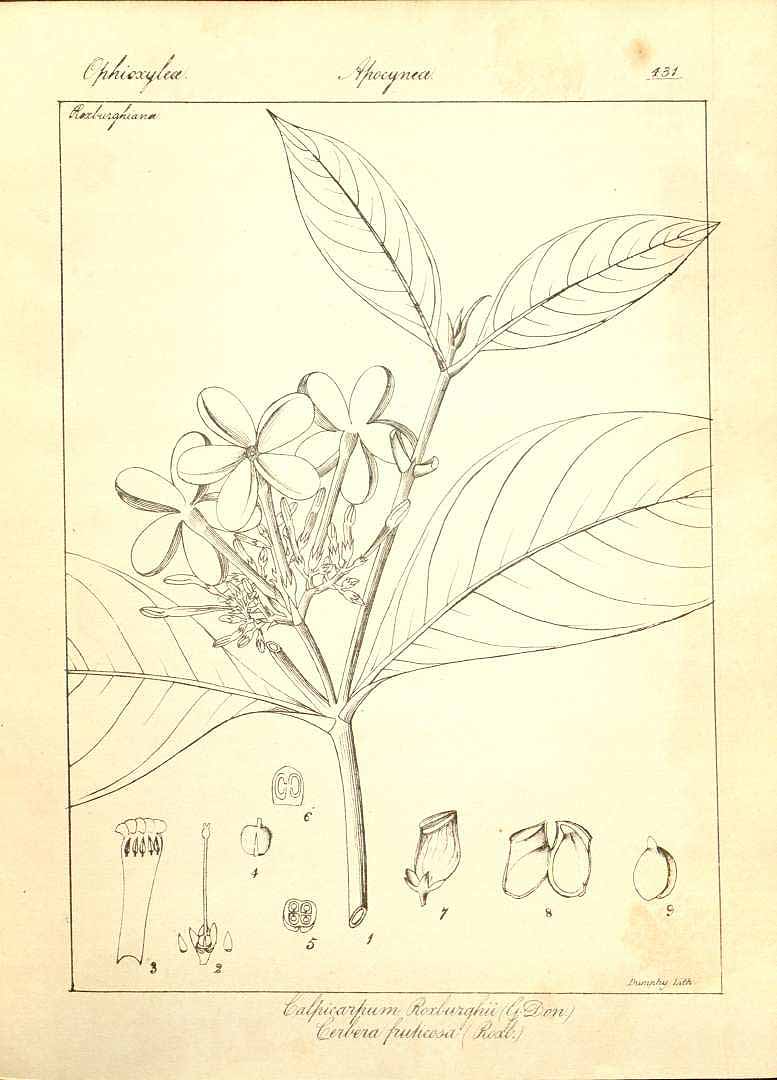 no HD illustration available (3)