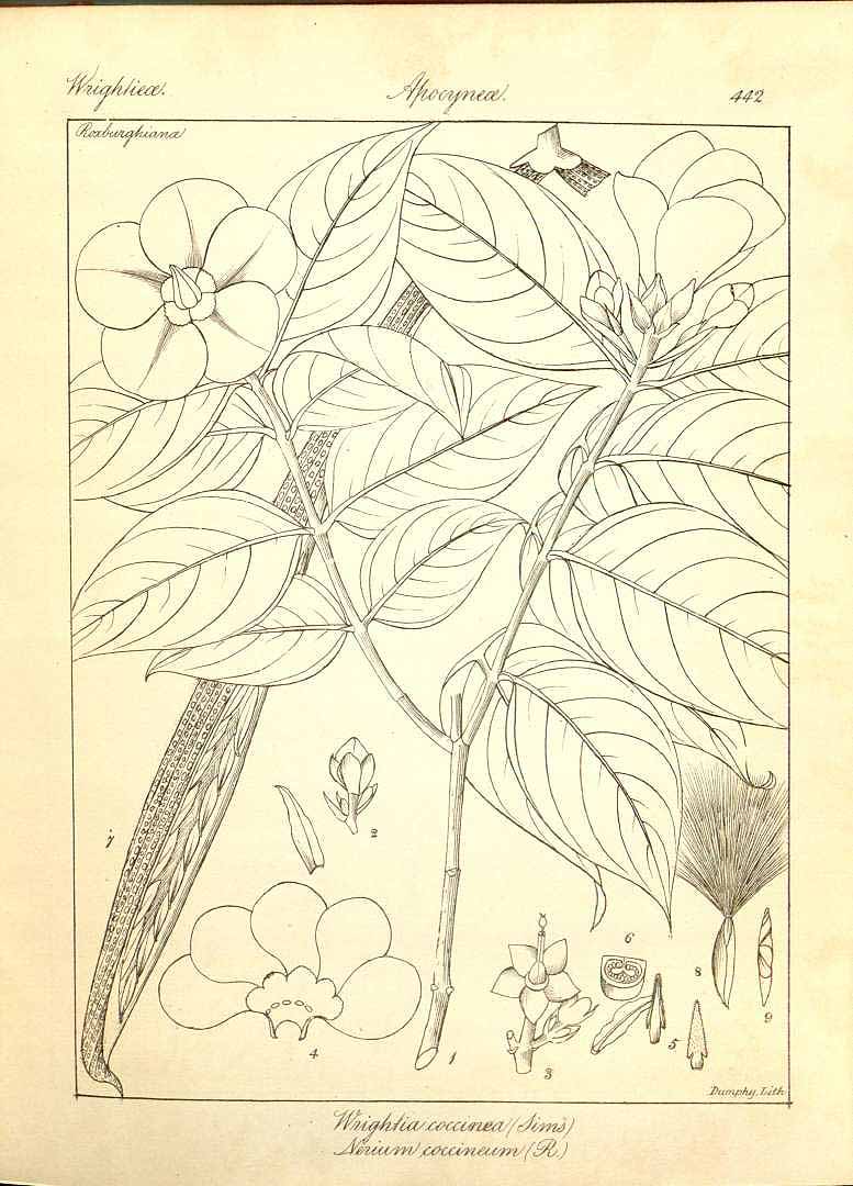 no HD illustration available (3)