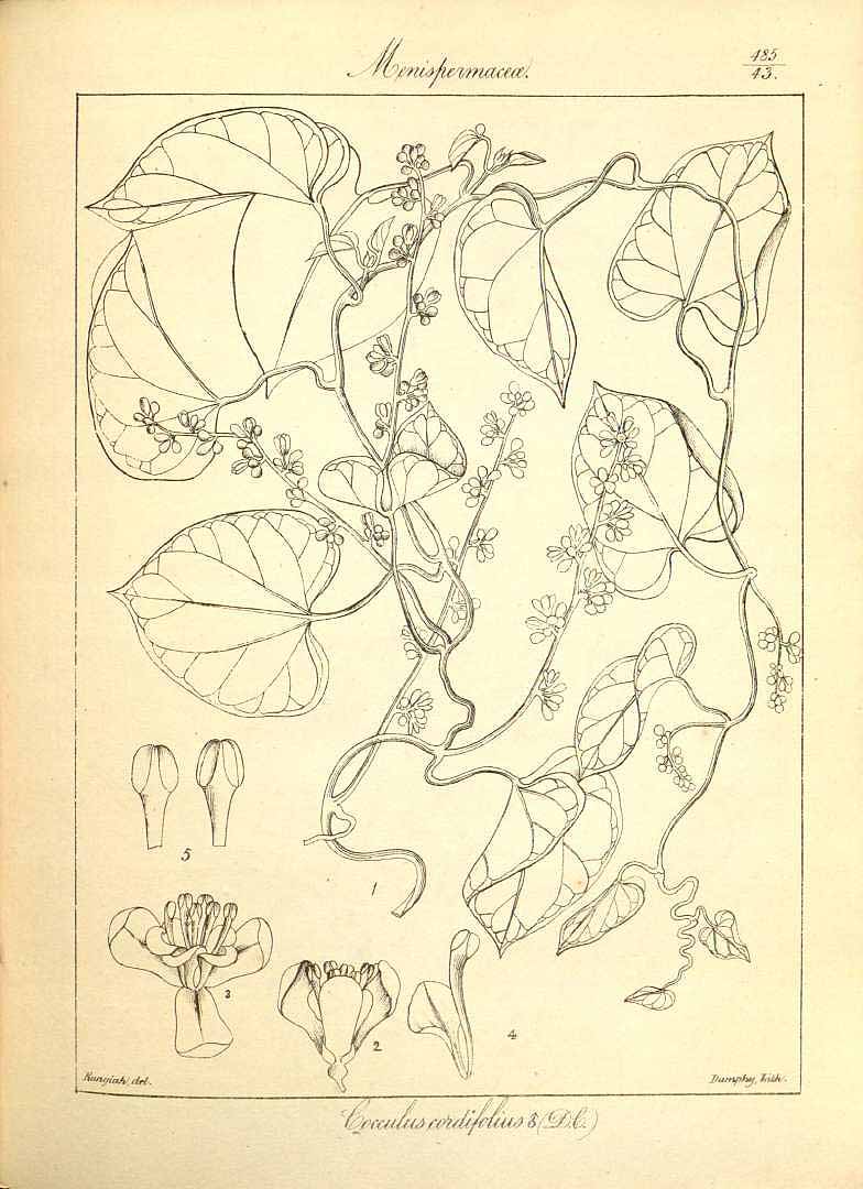 no HD illustration available (3)