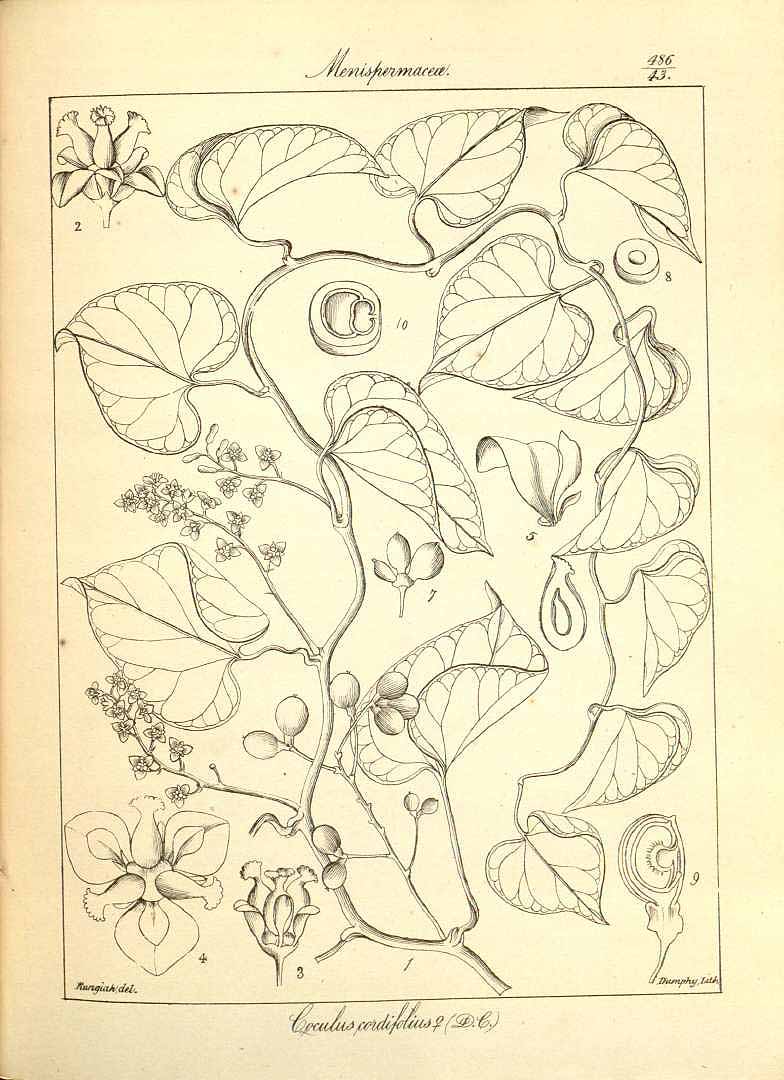 no HD illustration available (3)