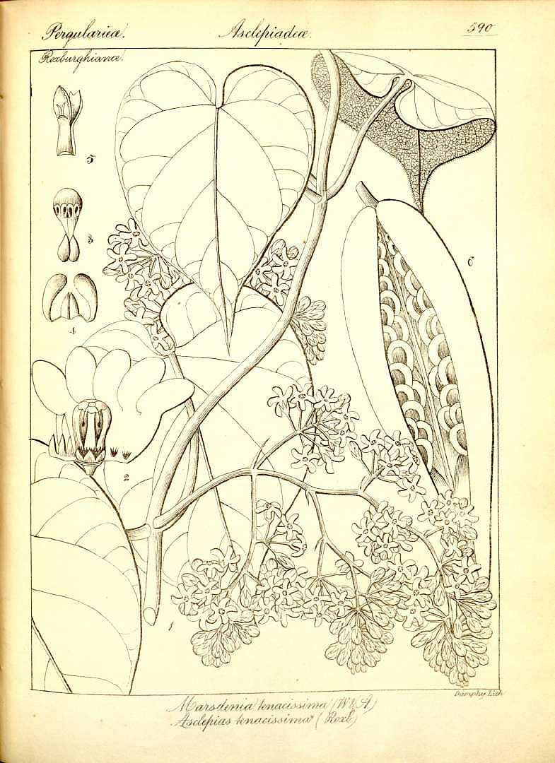 no HD illustration available (3)