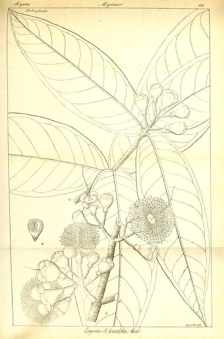 no HD illustration available (3)