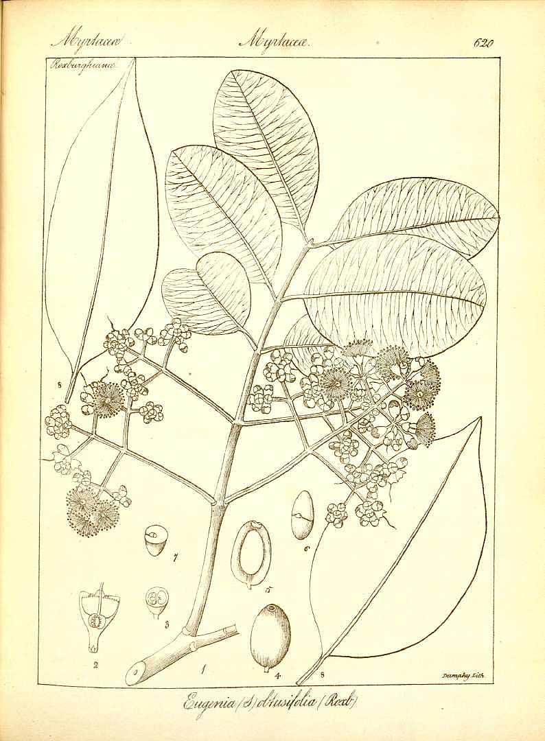 no HD illustration available (3)