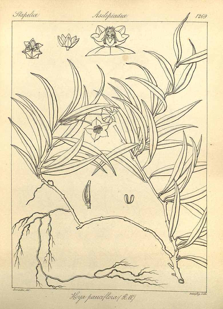 no HD illustration available (m1)