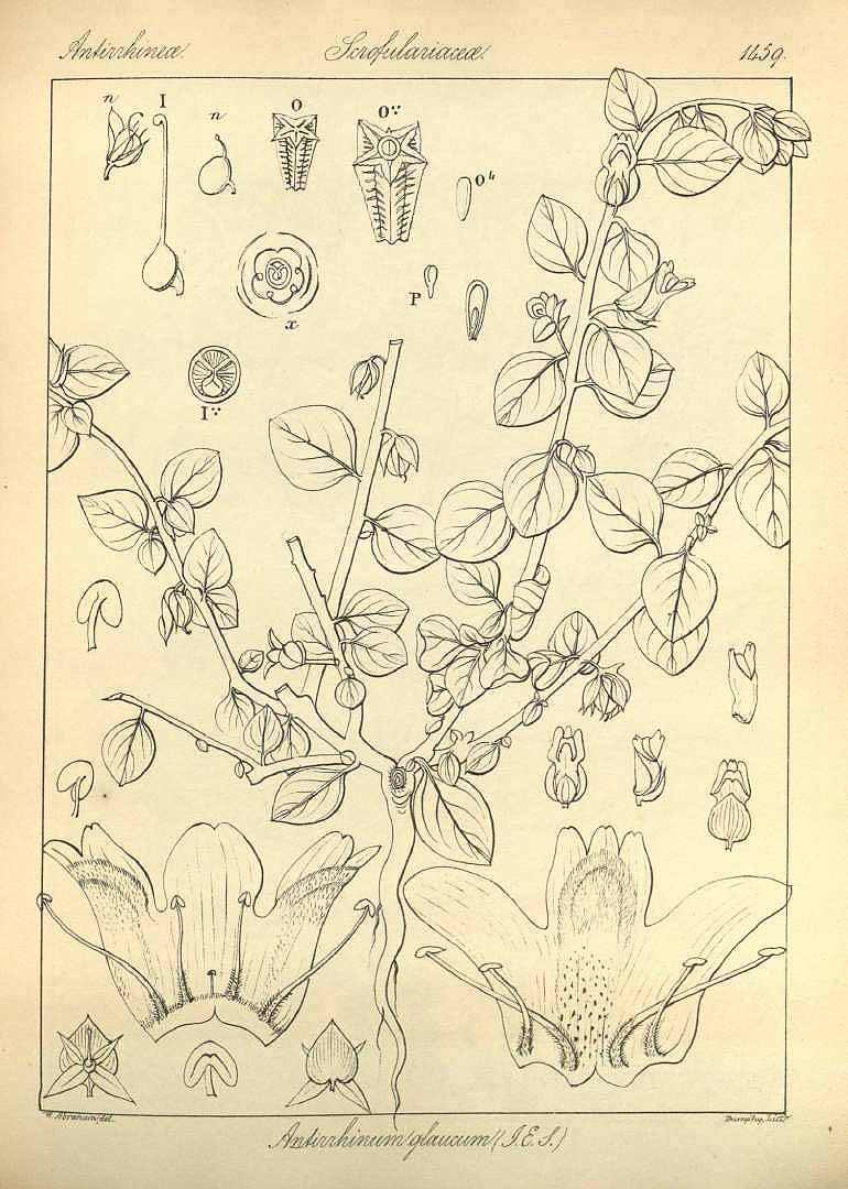 no HD illustration available (3)