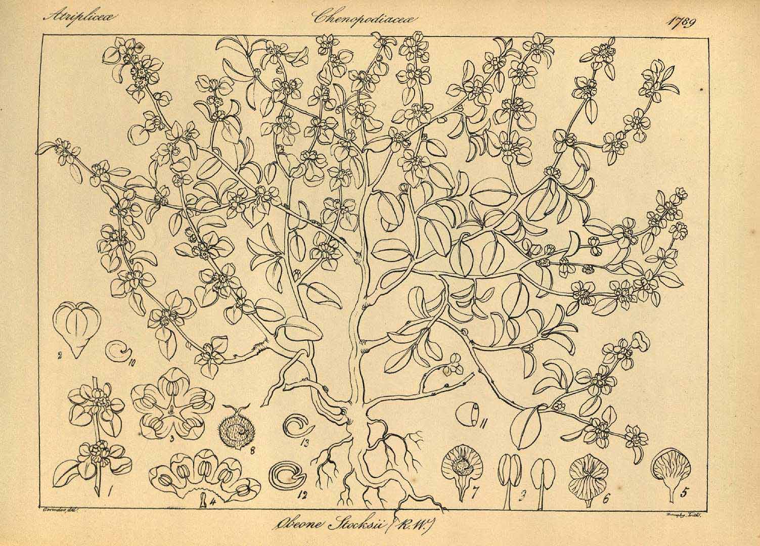 no HD illustration available (3)