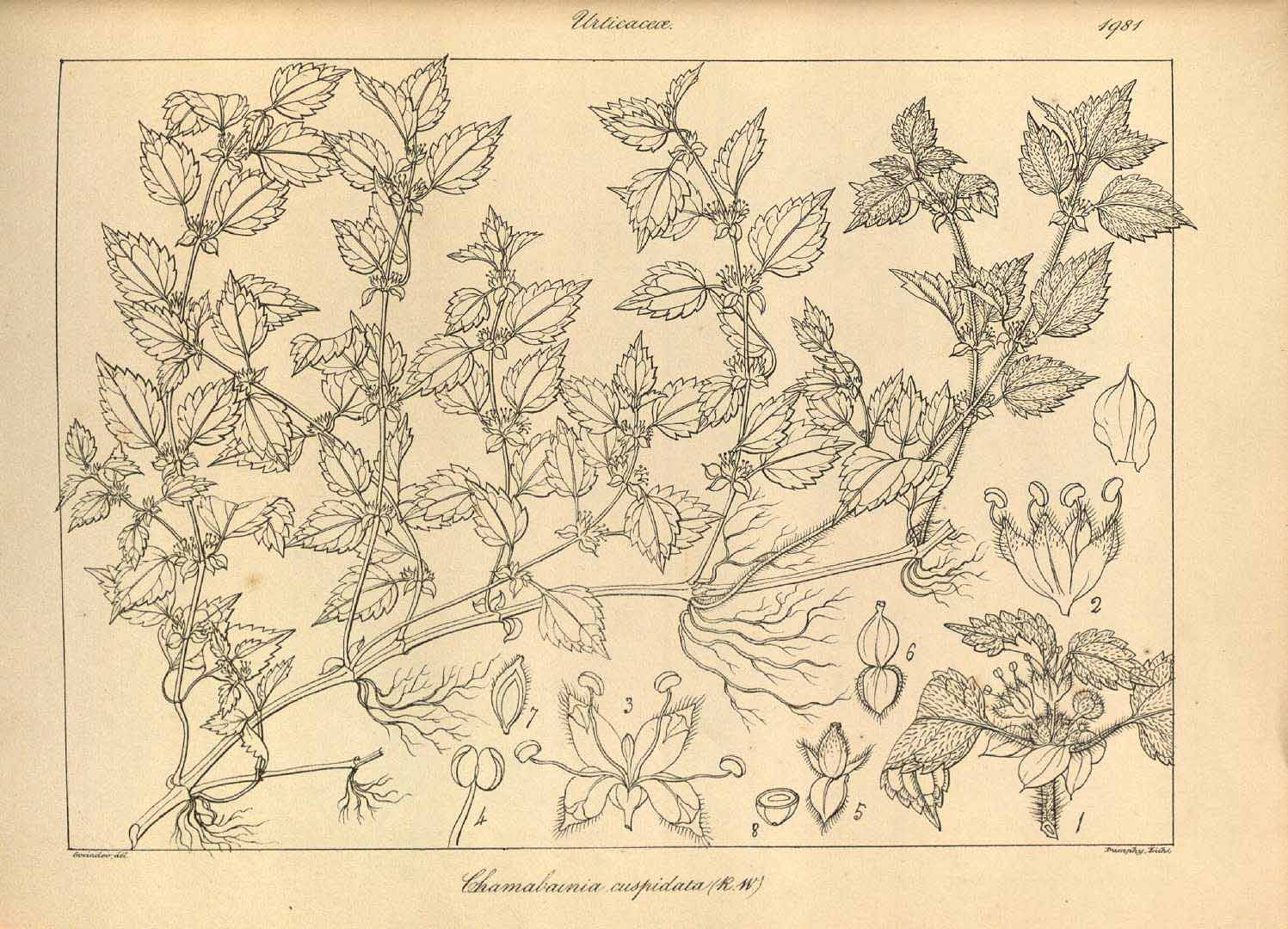 no HD illustration available (3)