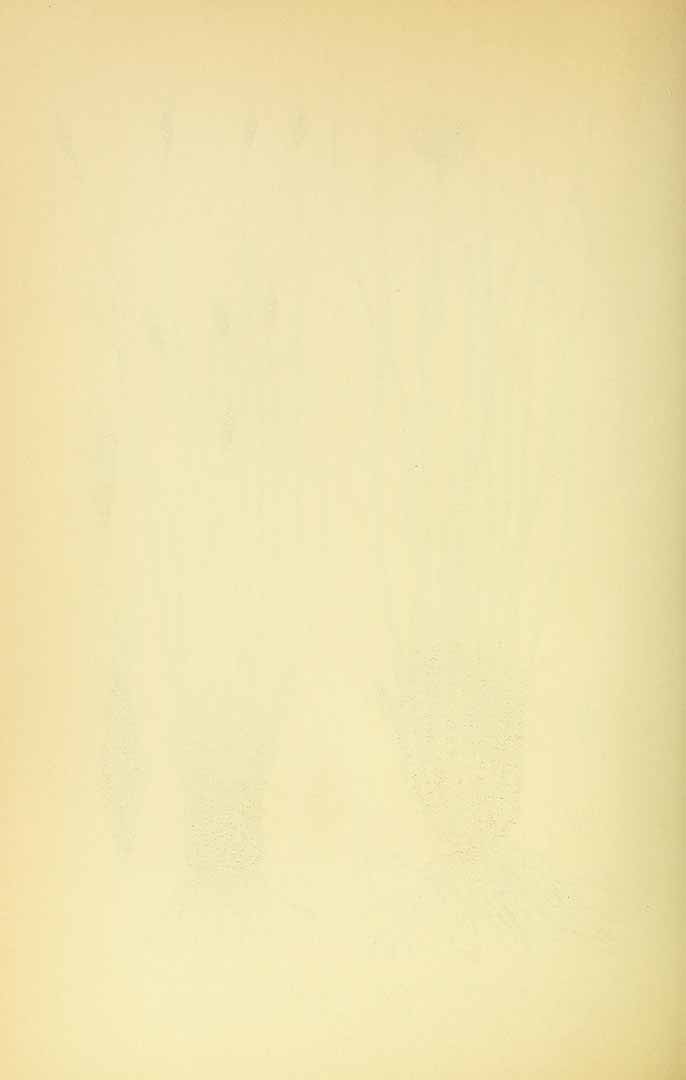 no HD illustration available (3)