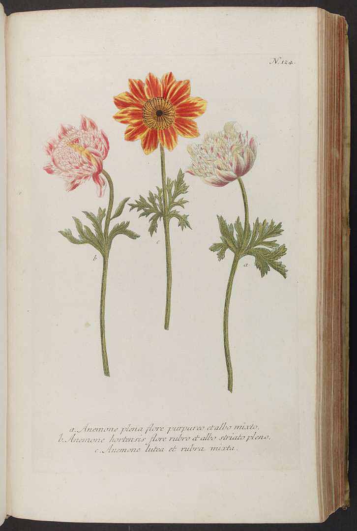 no HD illustration available (3)