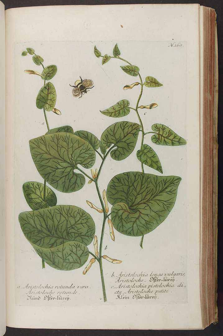 no HD illustration available (3)
