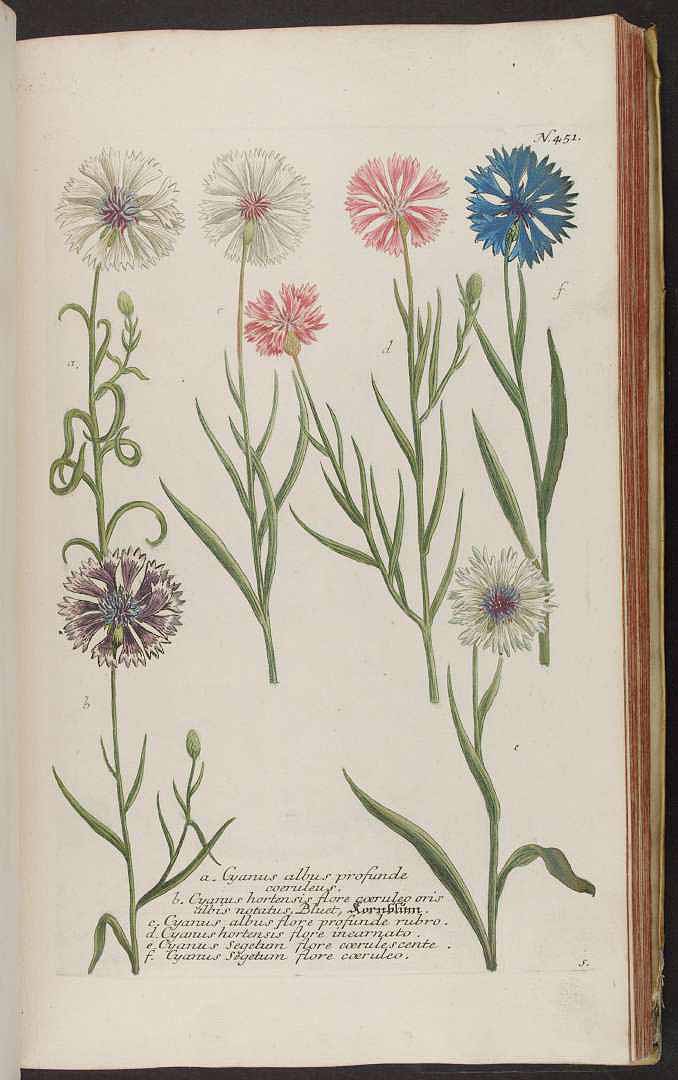 no HD illustration available (3)