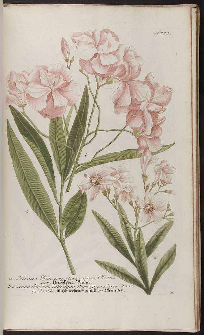 no HD illustration available (3)