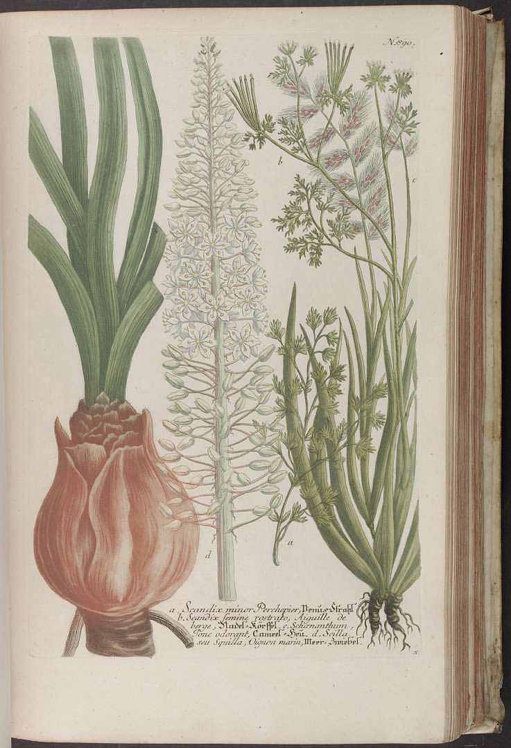 no HD illustration available (3)