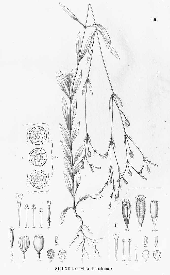 no HD illustration available (3)