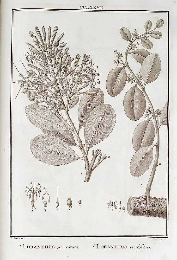 no HD illustration available (3)