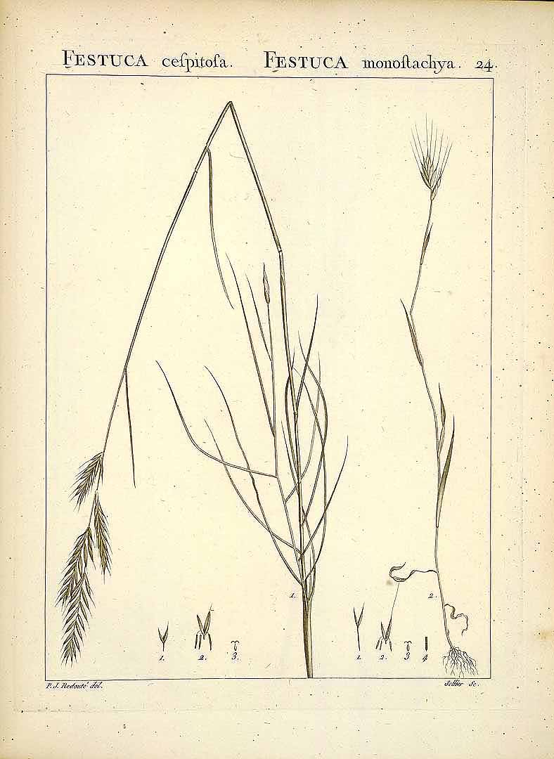 no HD illustration available (3)