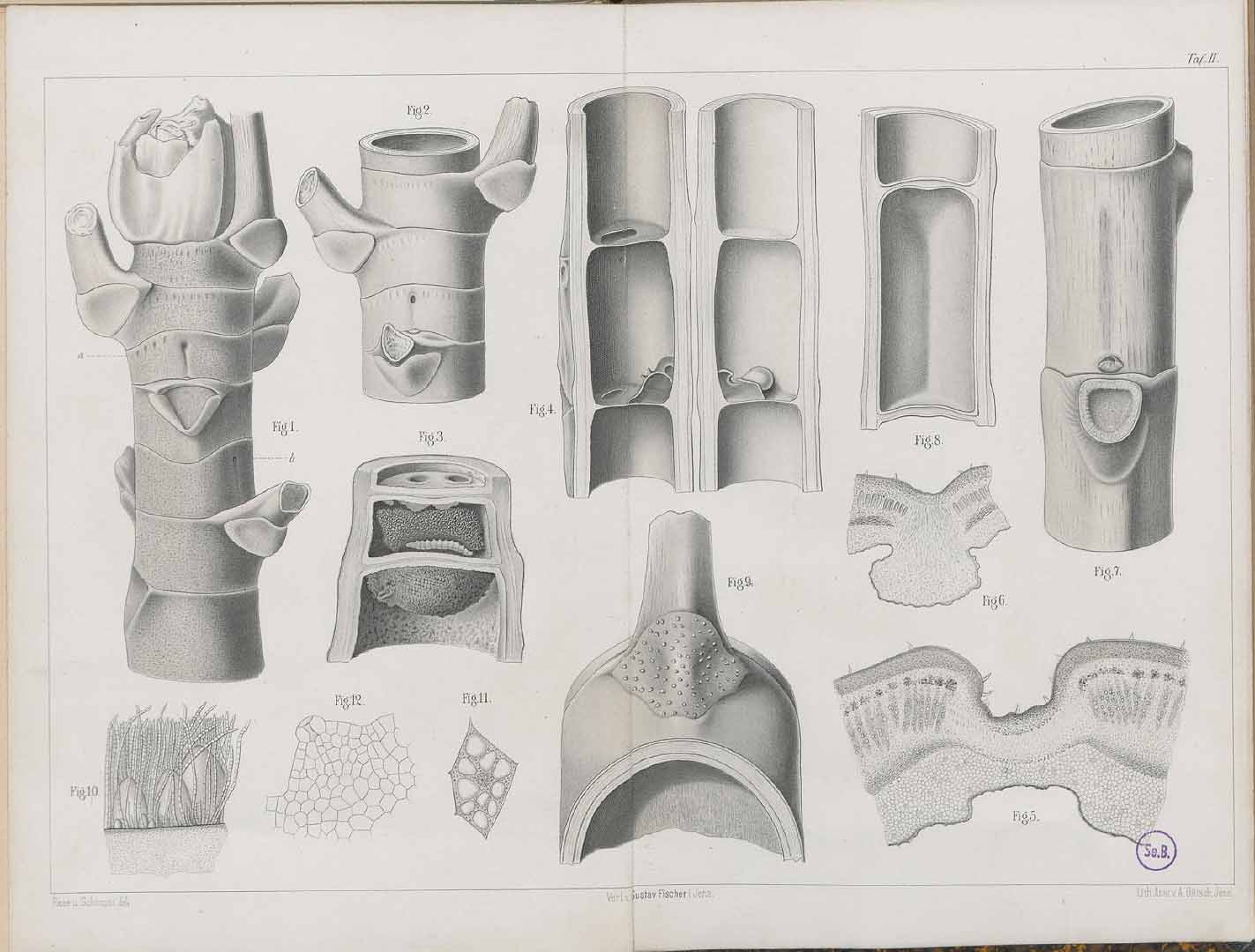 no HD illustration available (3)