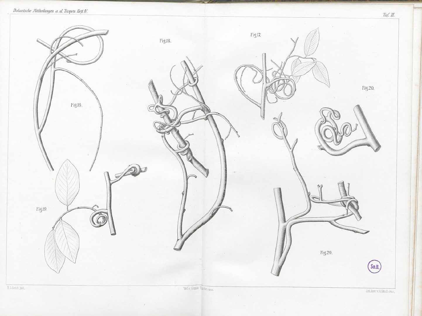 no HD illustration available (3)