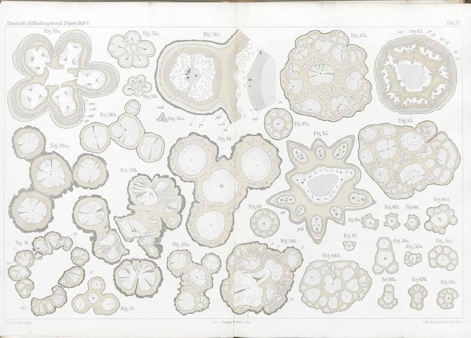 no HD illustration available (3)