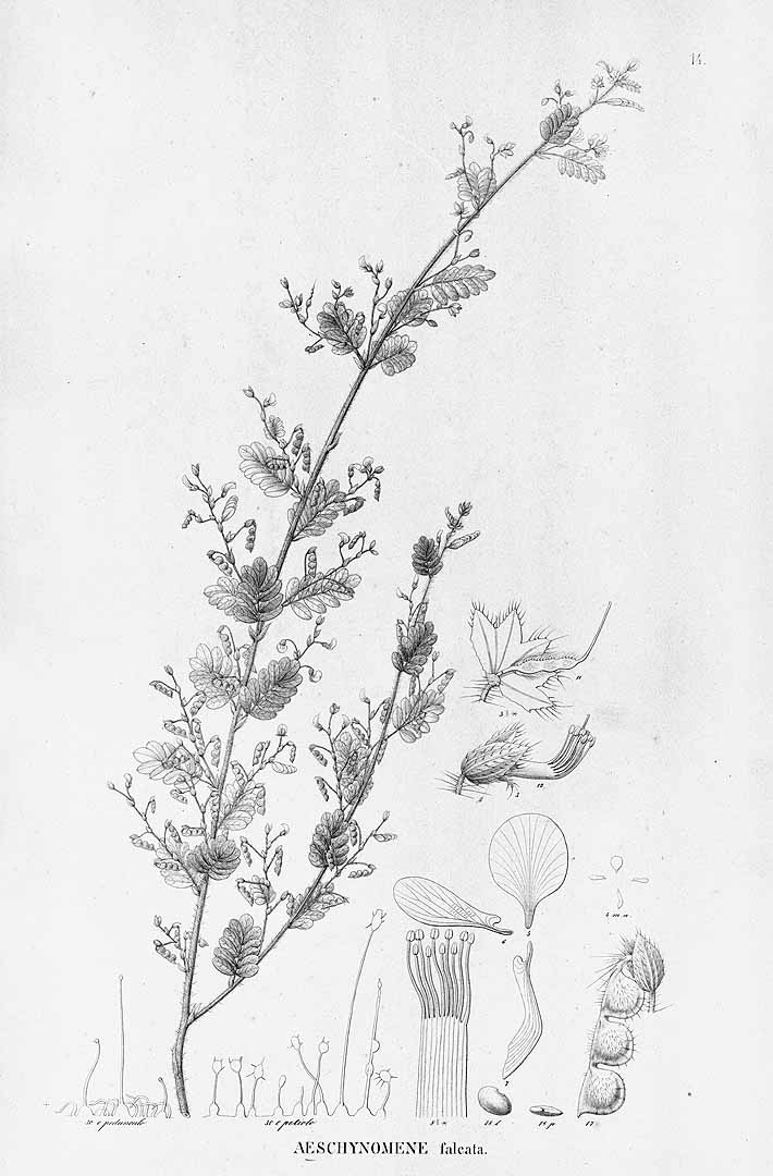 no HD illustration available (3)
