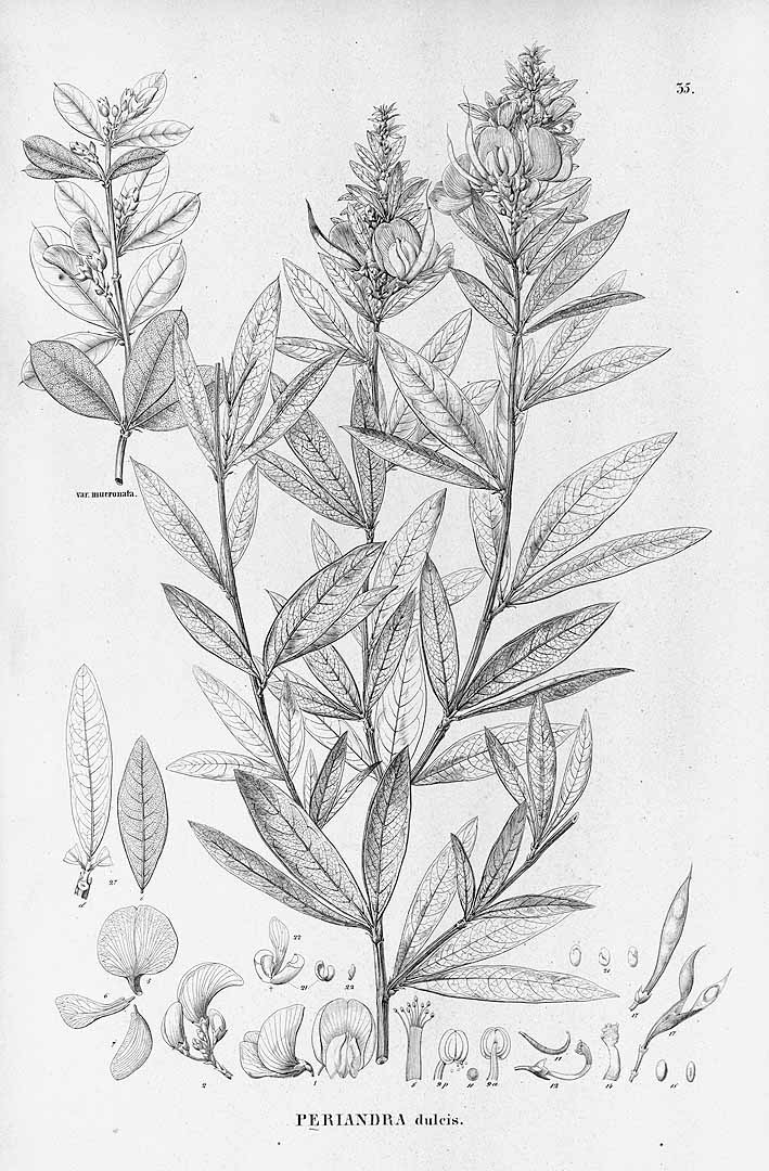 no HD illustration available (3)