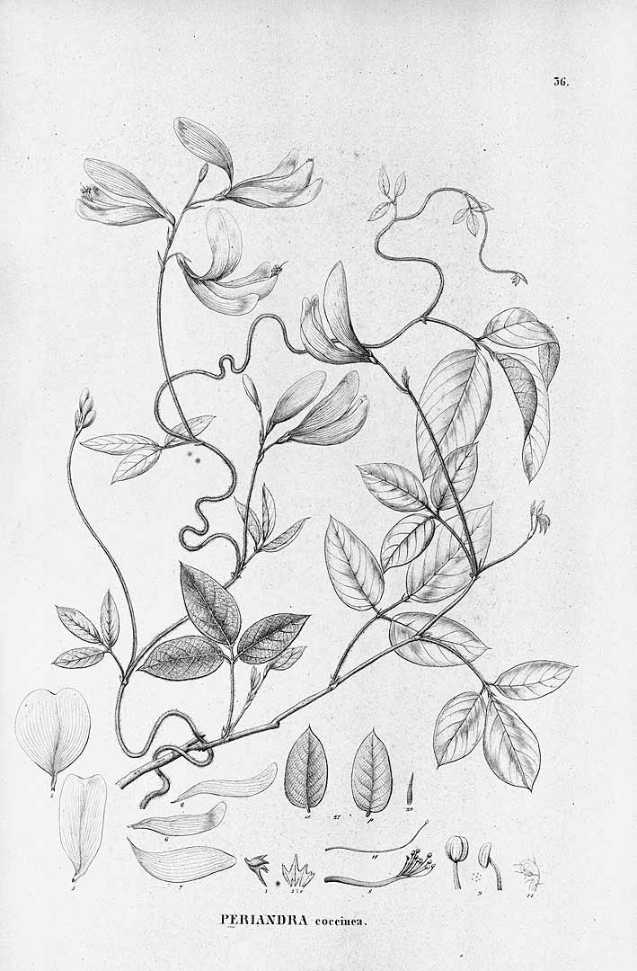 no HD illustration available (3)