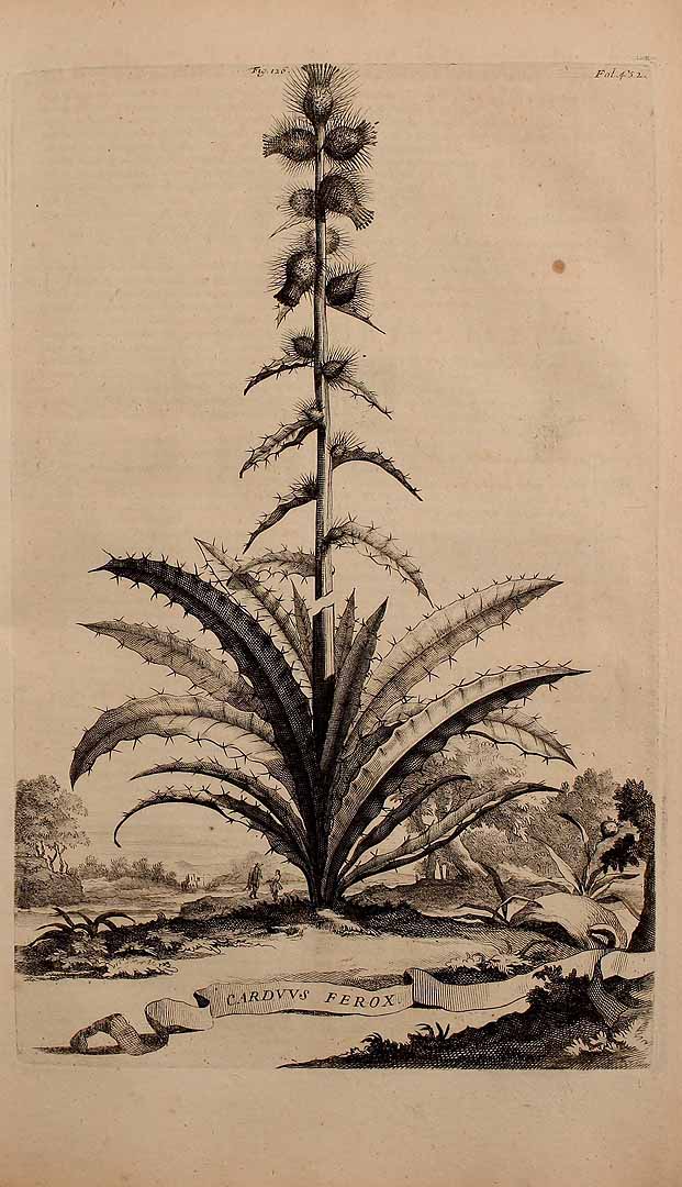 no HD illustration available (3)