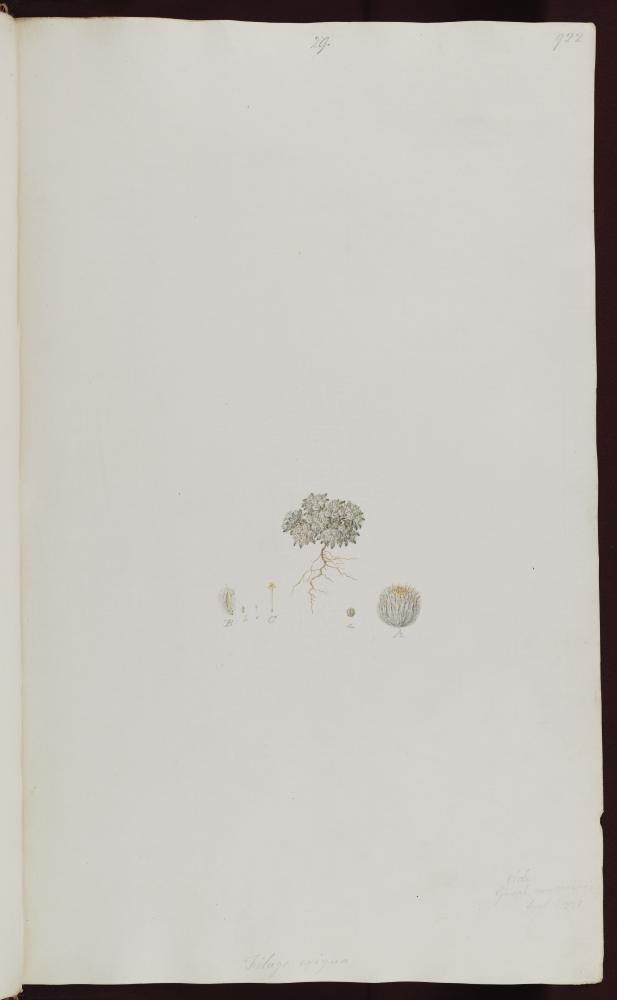 no HD illustration available (m1)