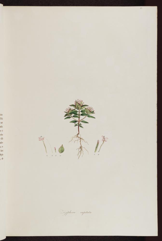 no HD illustration available (3)