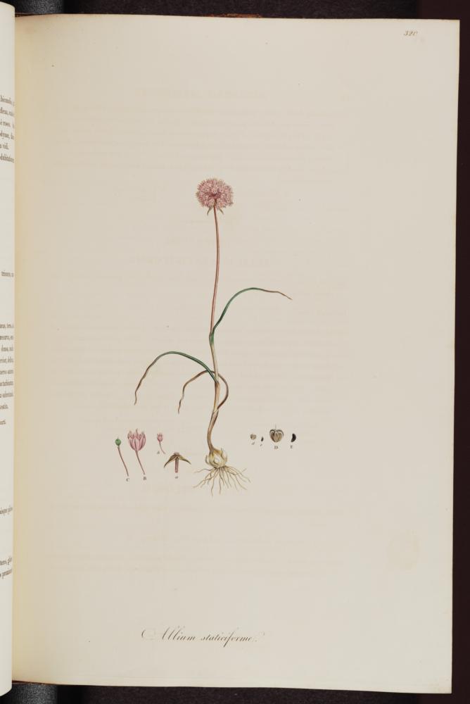 no HD illustration available (m1)