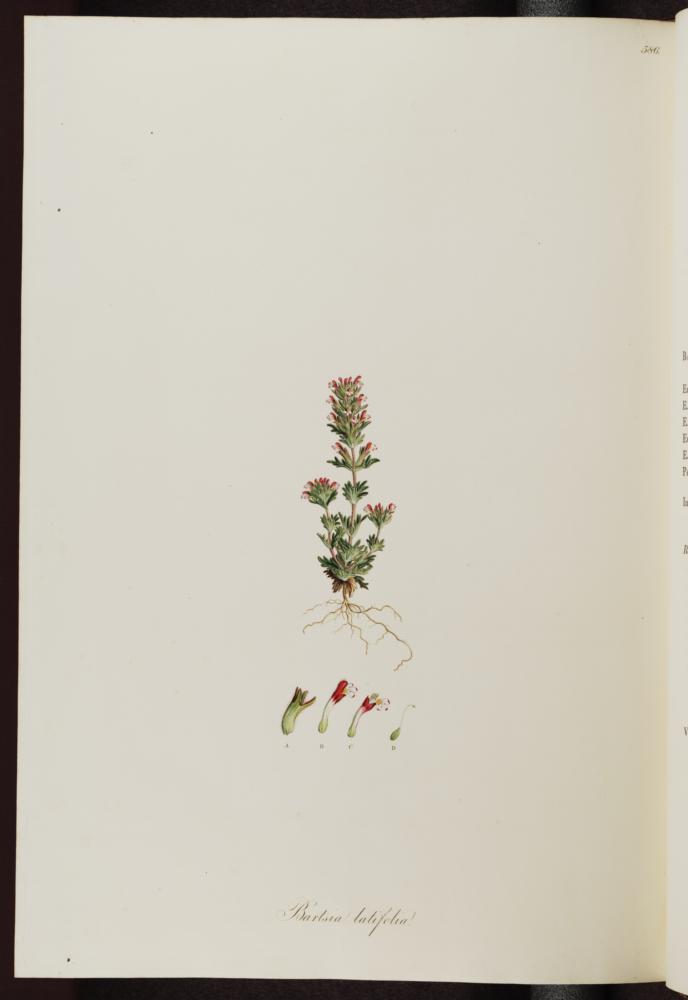 no HD illustration available (3)