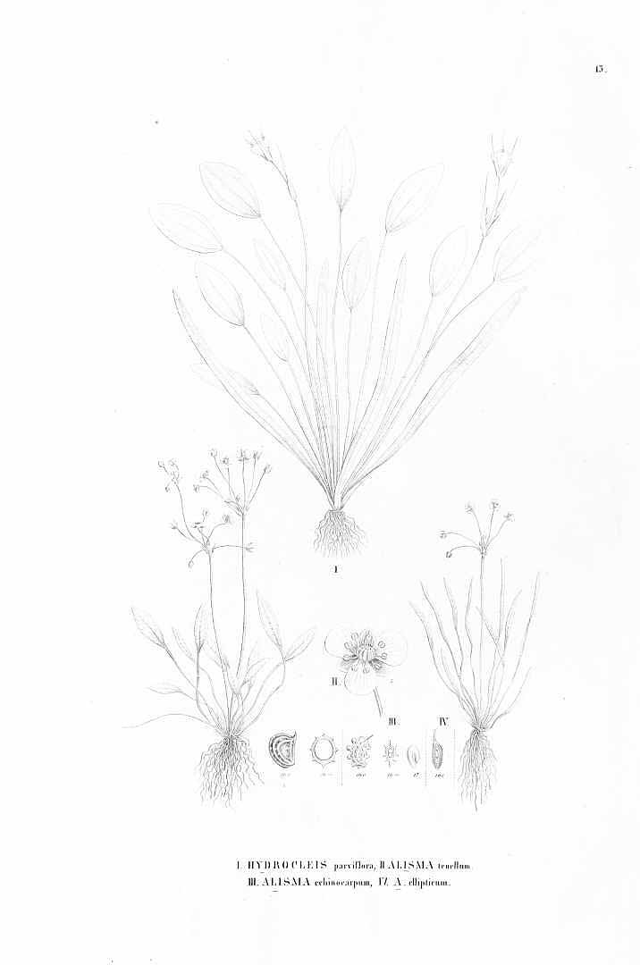 no HD illustration available (3)