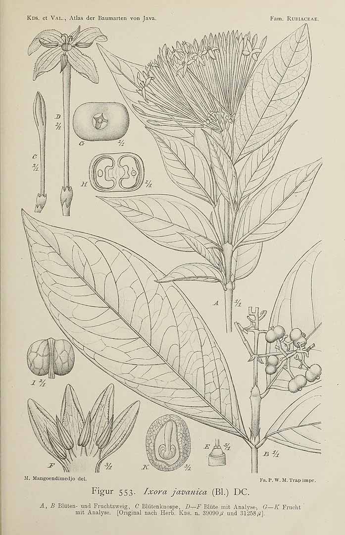 no HD illustration available (3)