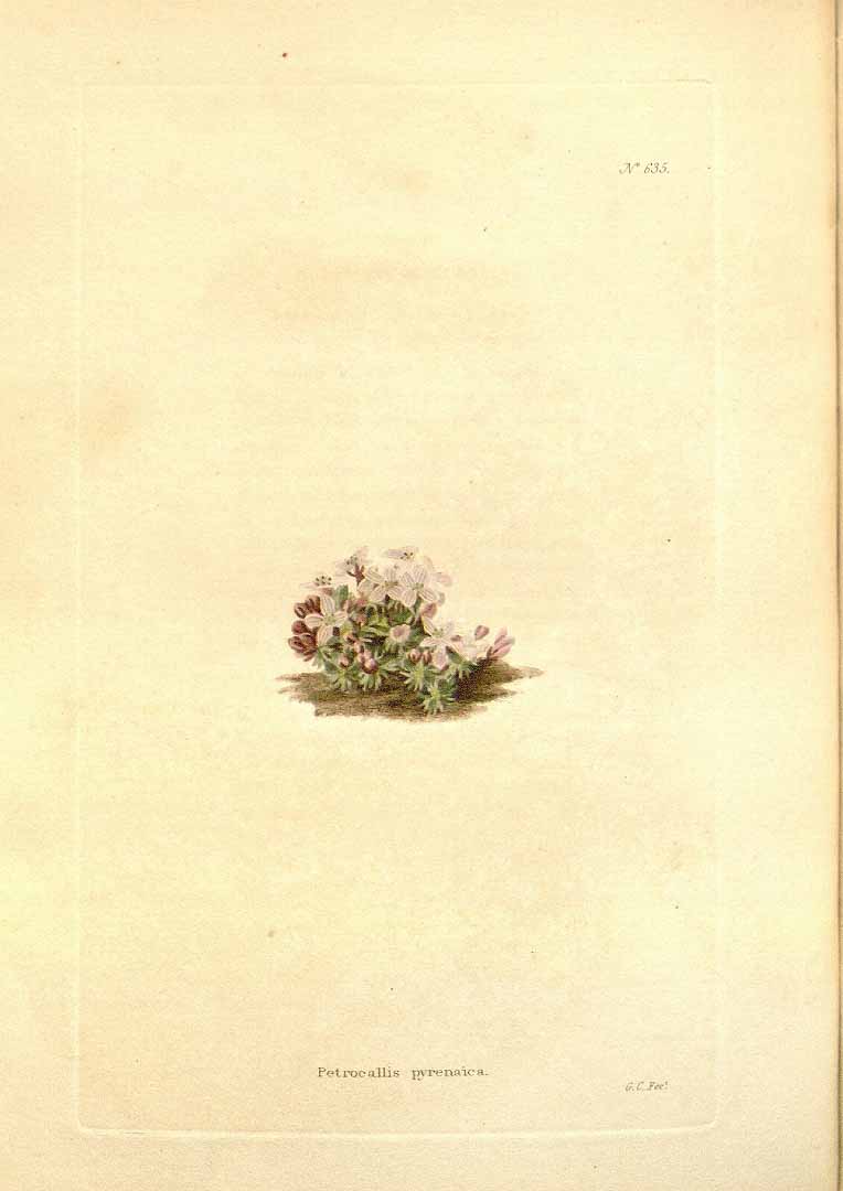 no HD illustration available (m1)