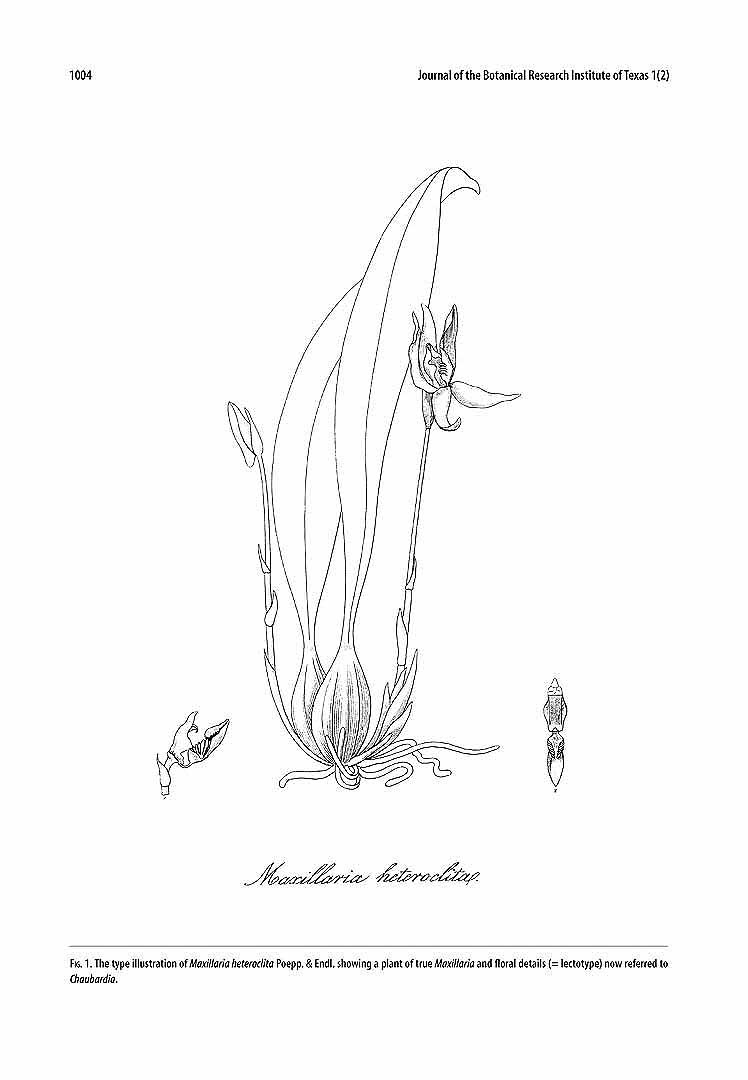 no HD illustration available (m1)