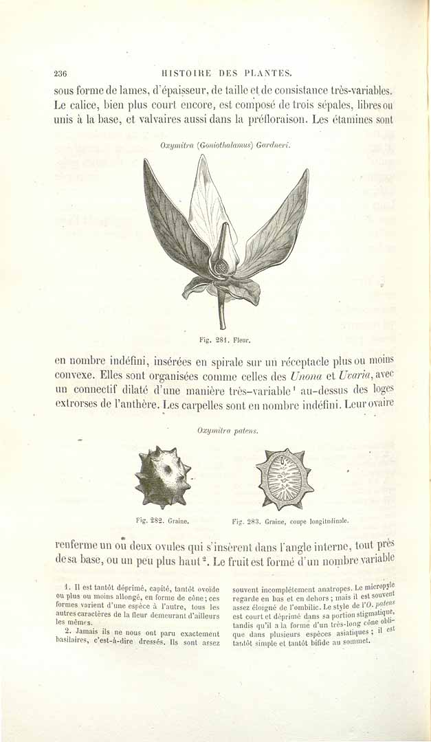 no HD illustration available (3)