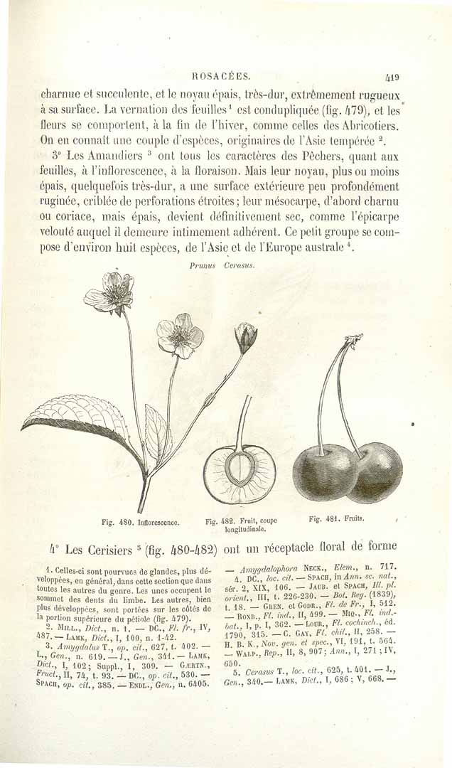 no HD illustration available (3)