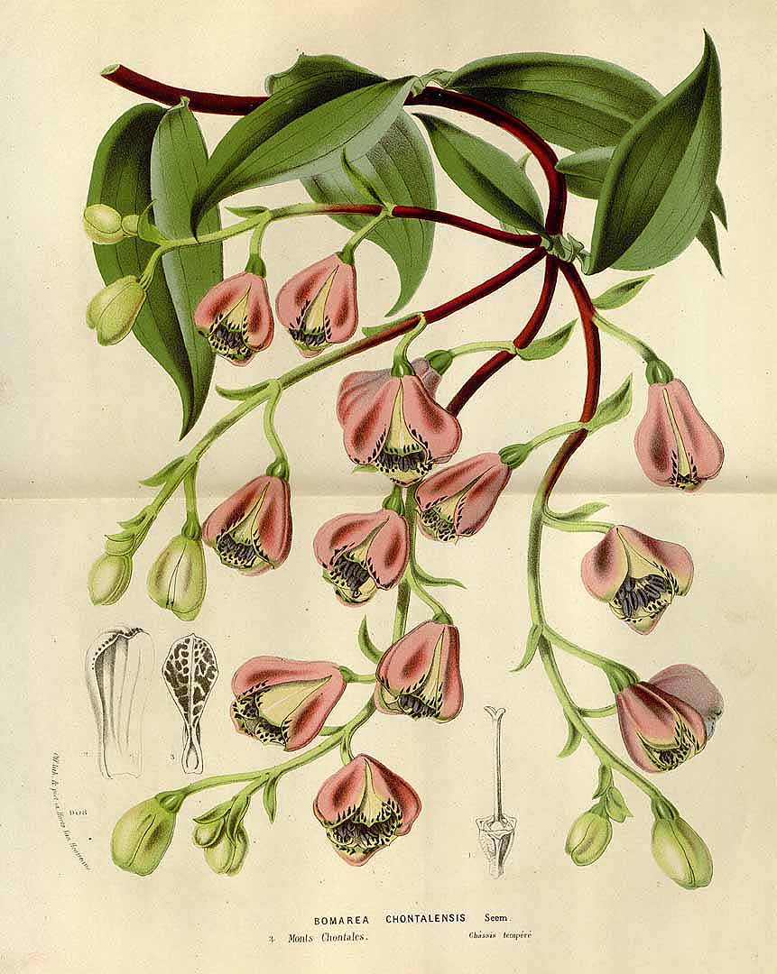 no HD illustration available (3)
