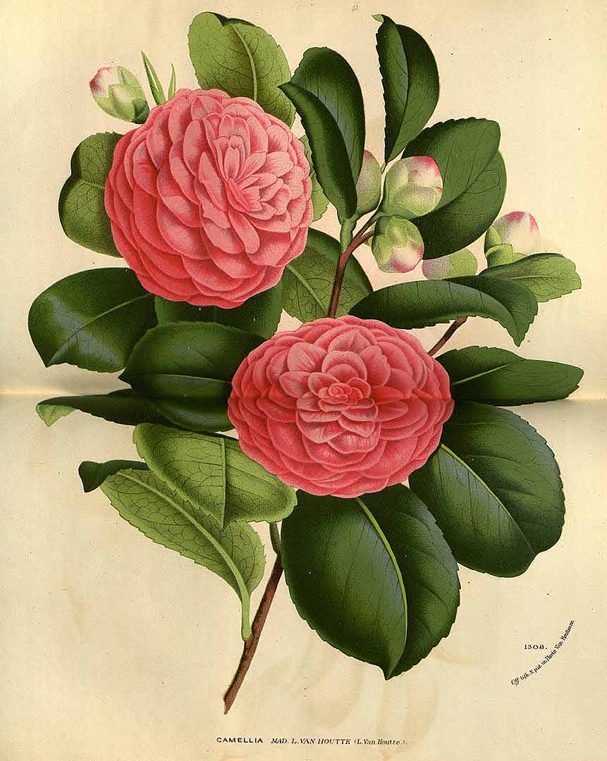 no HD illustration available (3)