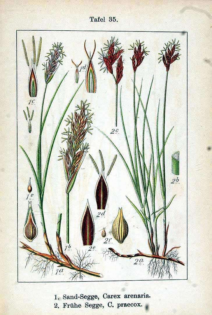no HD illustration available (3)