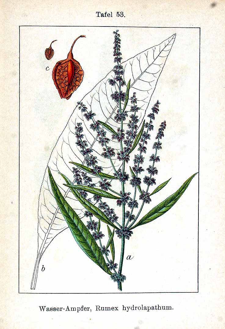no HD illustration available (3)
