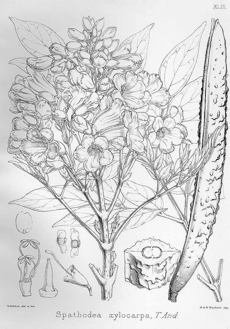 no HD illustration available (3)
