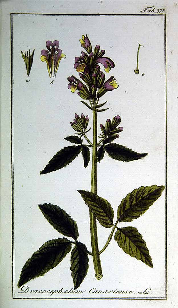 no HD illustration available (3)
