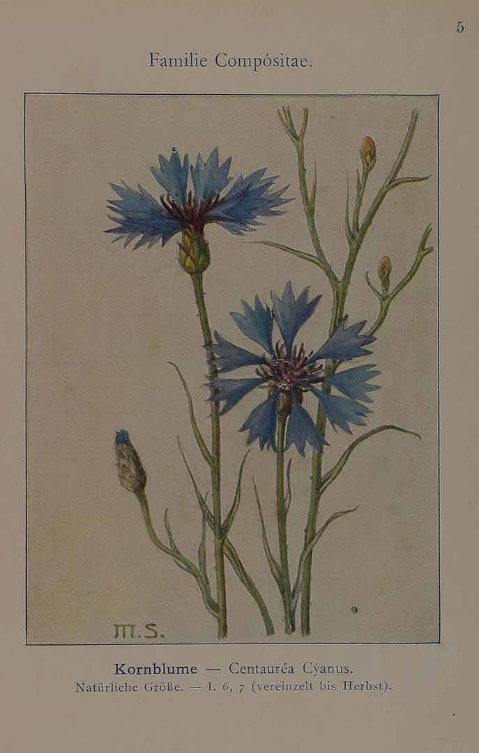 no HD illustration available (3)